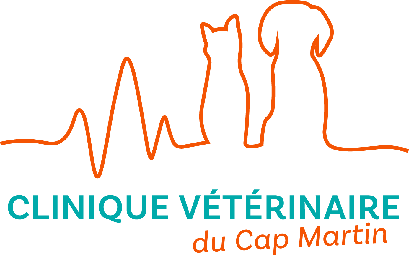 V2-Logo_CapMartin new
